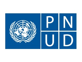 Haiti - Reconstruction : UNPD, 4 years of efforts to recover Haiti