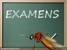 Haiti - Education : Students suffering from Chikungunya will not lose their examination