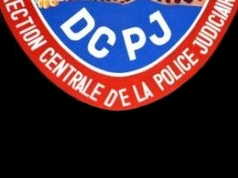 Haïti - Sécurité : Bilan mensuel de la DCPJ