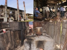 Haïti - Agriculture : Le Gouvernement s’attaque aux problèmes de la filière canne à sucre