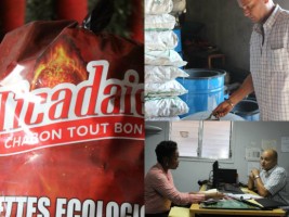 Haïti - Environnement : Succès commercial dans le charbon biologique