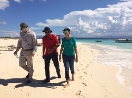 Haiti - Tourism : Presentation of cruise port project to tortugais