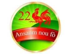 Haiti - Elections : Leslie Voltaire, program guidelines