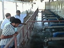 Haïti - Industrie : Mission d’experts de l'«International Fragrance Association»