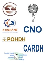 Haiti - Elections : Towards the purification of the presidential candidates ?