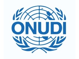 Haïti - Politique : Table-ronde autour des micro-parcs industriels au pays
