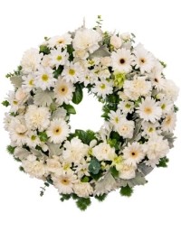 Haiti - Education : The State University of Haiti in mourning