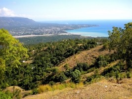 Haïti - Jacmel : Relance agricole dans la section communale la Montagne
