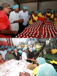 Haïti - Agriculture : Moïse visite l’usine de transformation de tomates SHAISA