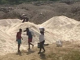 Haïti - Politique : Déversement de riz, fin du mystère