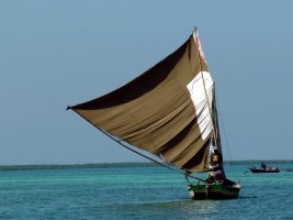 Haiti - Environment: Presentation of the Management Plan of the Three Bays National Park
