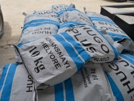 Haïti - Agriculture : Hugo Plus, une nouvelle variété de semences de maïs en Haïti