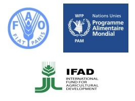 Haiti - Humanitarian : 3 UN agencies unite to eradicate hunger