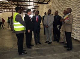 Haïti - Social : Don de près de 6,000 tonnes de riz du Japon