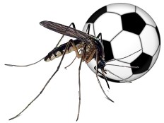 Haiti - U17 Football : Strong reactions from the Haitian government