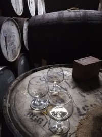 Haiti - Agriculture : The first Haitian Presidium of rum Clairin