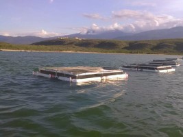 Haïti - Agriculture : L’aquaculture prochain pilier de la production alimentaire au pays