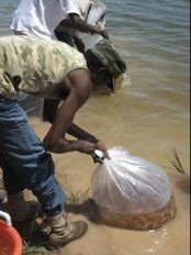 Haiti - Reconstruction : Michel Martelly today to Pandiassou