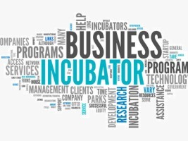 Haiti - Economy : 25 business creation projects selected