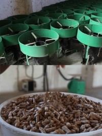 Haïti - Europe : 1 million d’euros pour un projet d’énergie propre pour la cuisson