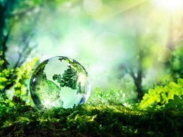 Haiti - NOTICE : Call for projects in favor of the environment...