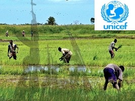 Haiti - Insecurity : Gang violence intensifies in Artibonite, the country's rice granary