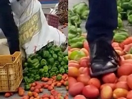 Haiti - FLASH : Deplorable and unacceptable images (Video)