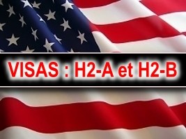 Haiti - FLASH : H-2A and H-2B visas available for Haiti