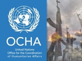  Haïti - Crise : Situation en Haïti (février 2024)