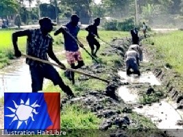 Haïti - Taïwan : Dragage des canaux d’irrigation pour des récoltes de riz abondantes