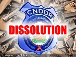 Haiti - FLASH : Dissolution of the National Commission for Disarmament, Dismantling and Reintegration