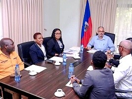 Haiti - Politic : Organization of the referendum and elections