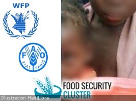 Haïti - Crise : Sécurité alimentaire, suivi de la réponse humanitaire