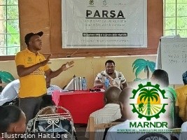Haïti - Production végétale : Renforcement des Agriculteurs dans le Sud