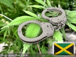 Haïti - Jamaïque : Saisie de 1,360 kg de marijuana, 2 haïtiens arrêtés