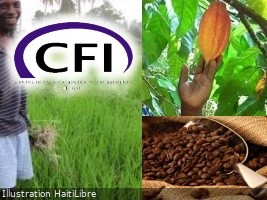 Haïti - Agro-industrie : Entre dépendance et souveraineté alimentaire
