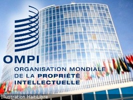 Haïti - FLASH : Prix mondiaux de l’OMPI 2026, appel à candidatures