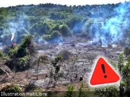 Haïti - FLASH : Un incendie volontaire détruit le Jardin botanique des Cayes