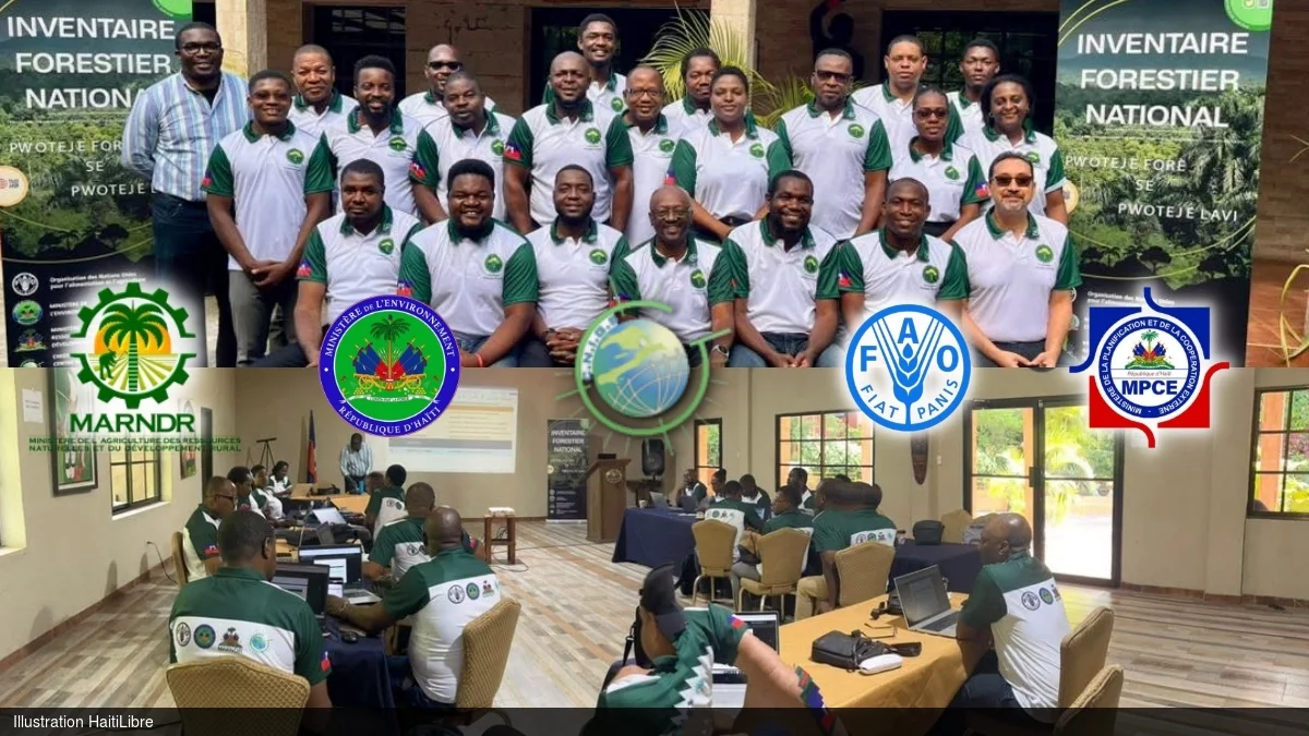 Environment : Capacity building of the Haiti's National Forest Surveillance System