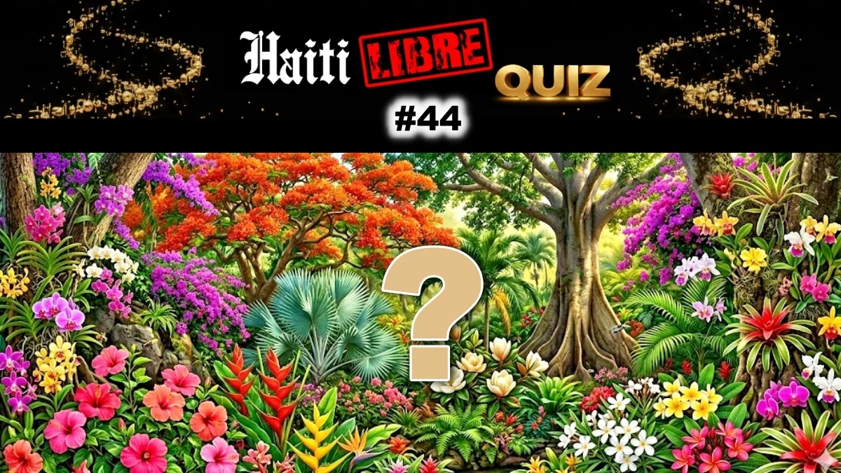 Haiti - Leisure : Did you know ? #44