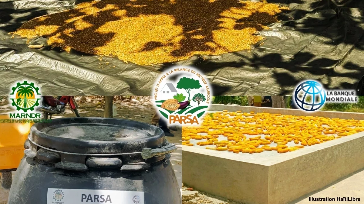 Haiti - Agriculture : Donation of post-harvest equipment to reduce losses and improve incomes