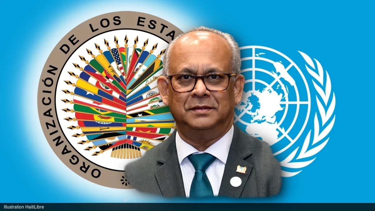 OAS calls for the full deployment of the Gang Repression Force in Haiti
