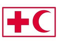 Haïti - Humanitaire : La Croix Rouge Internationale (FICR) fait le point