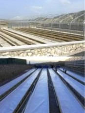 Haïti - Agriculture : Une ferme aquaponique à Grace village