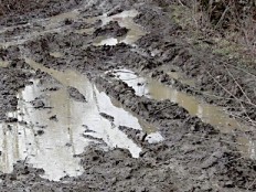 Haïti - Social : Parc Fleurieux, évacuation d’urgence