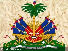 Haïti - Agriculture : La relance agricole, priorité 2013