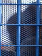 Haiti - Justice : Fight against pretrial detention