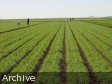 Haiti - Agriculture : Increase production and farmers' incomes...