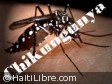 Haïti - Santé : 632 cas de Chikungunya (bilan provisoire)