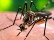 Haïti - AVIS : Système d'alerte précoce des cas suspects du virus ZIKA